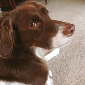 Meet your Posher, Cathleen